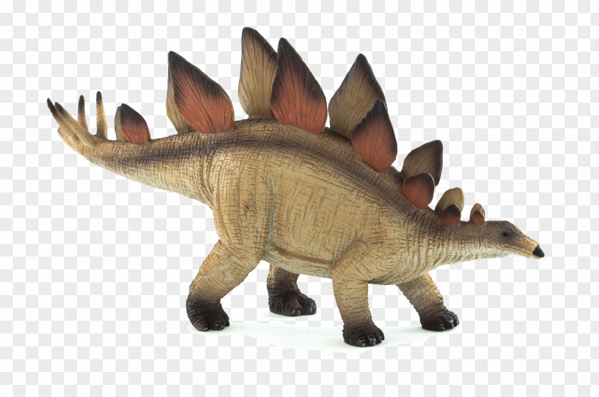 Dinosaur Stegosaurus Triceratops Ankylosaurus Spinosaurus PNG