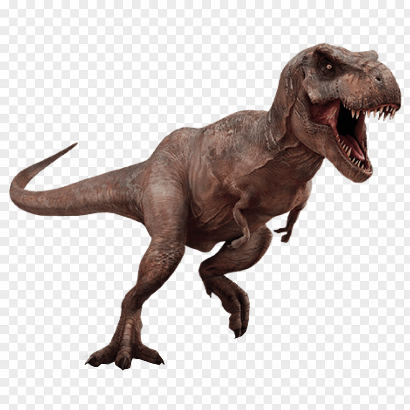 Dinosaur Tyrannosaurus Triceratops Aucasaurus PNG