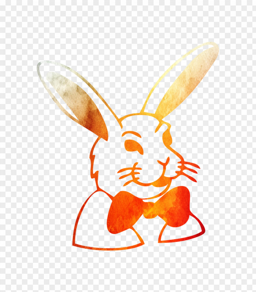 Domestic Rabbit Hare Easter Bunny Illustration PNG