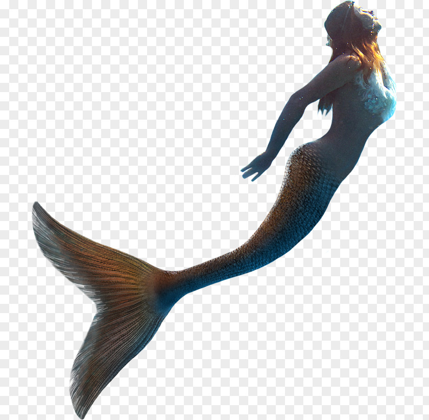 Mermaid Little LLC United Kingdom PNG