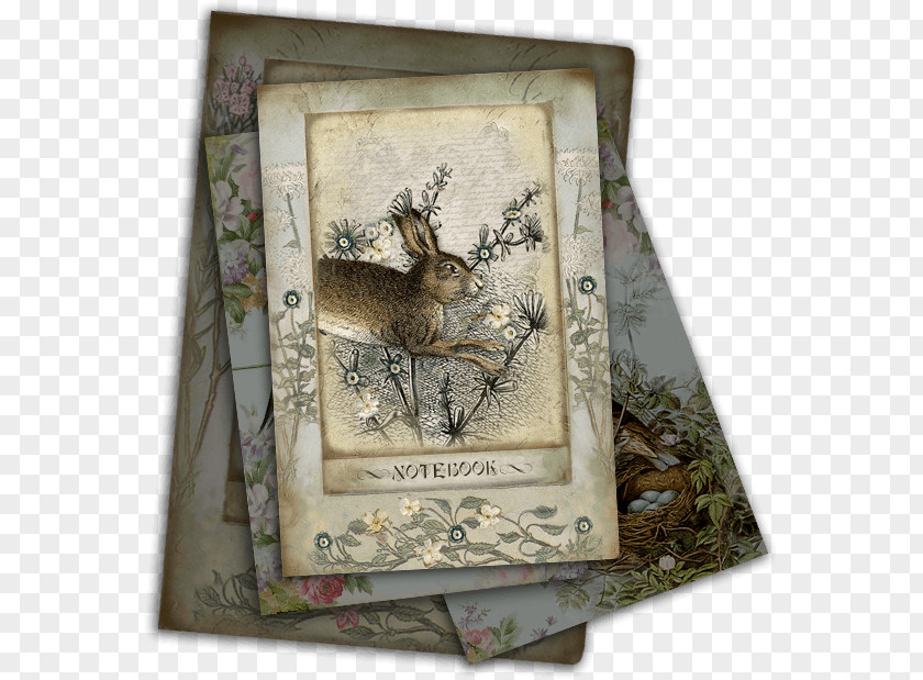 Miss Havisham Hare Picture Frames PNG