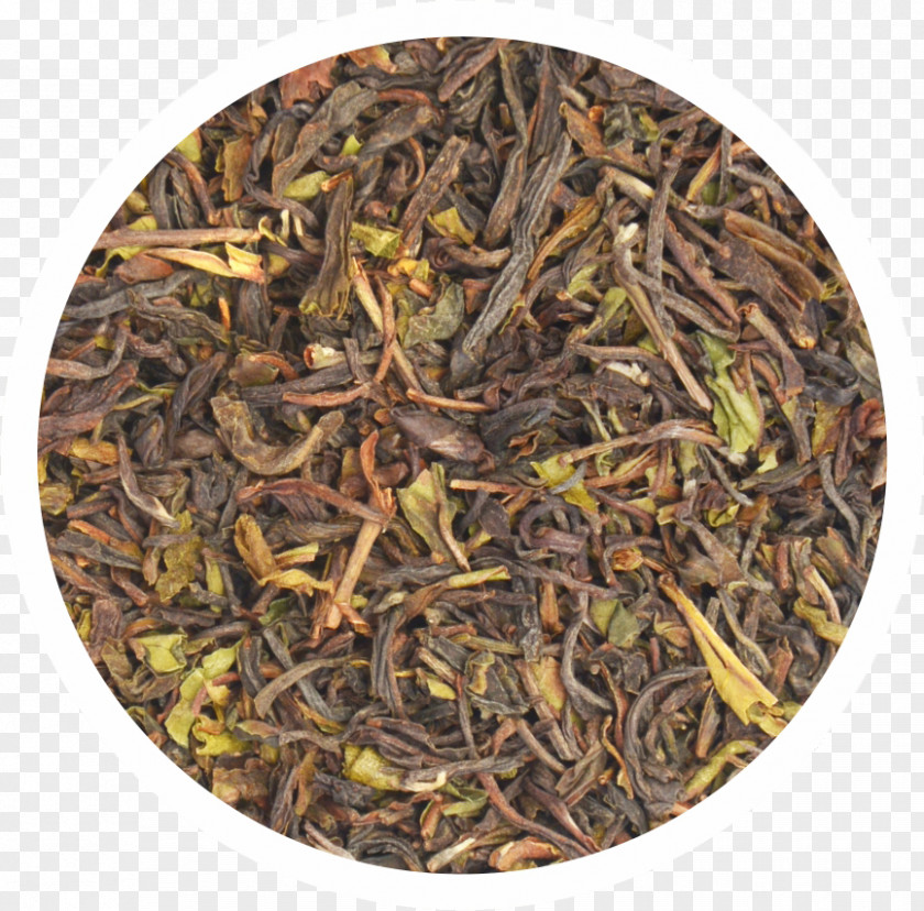 Tea Nilgiri Dianhong Romeritos Golden Monkey PNG