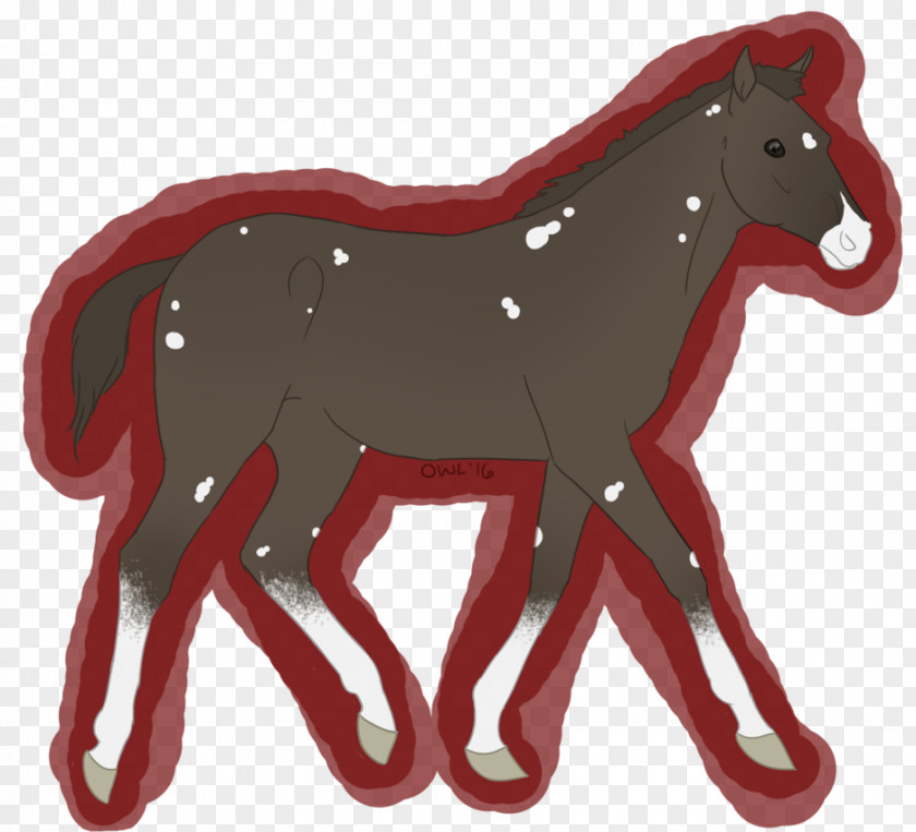 Bohemian Rhapsody Mustang Foal Stallion Pony Colt PNG