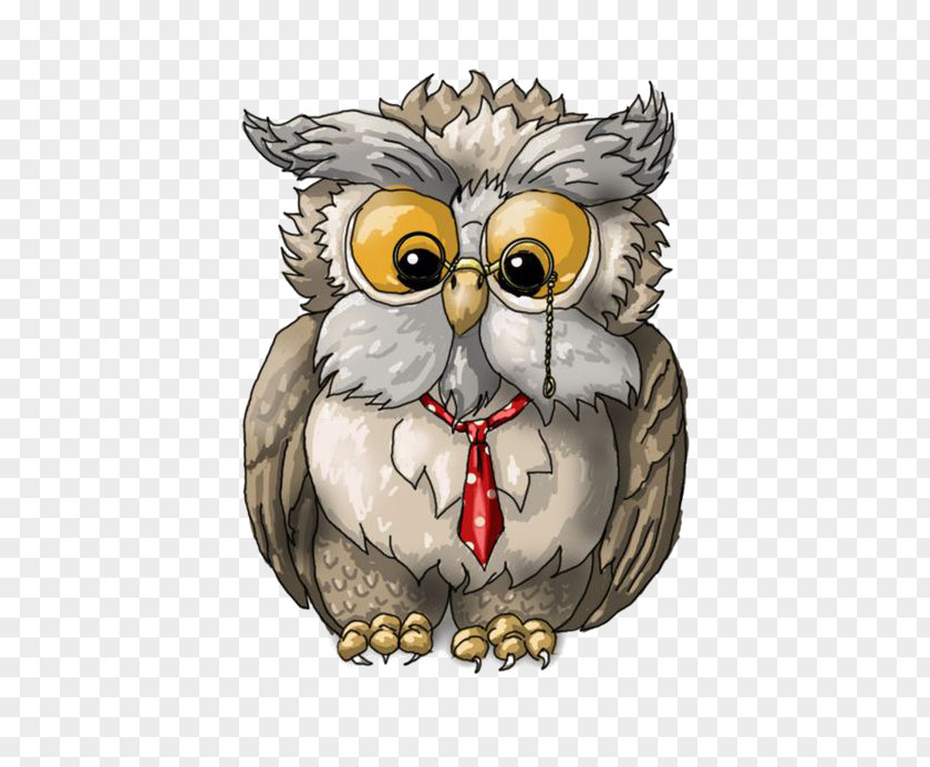 Cartoon Owl A Wise Old Bird Drawing Clip Art PNG
