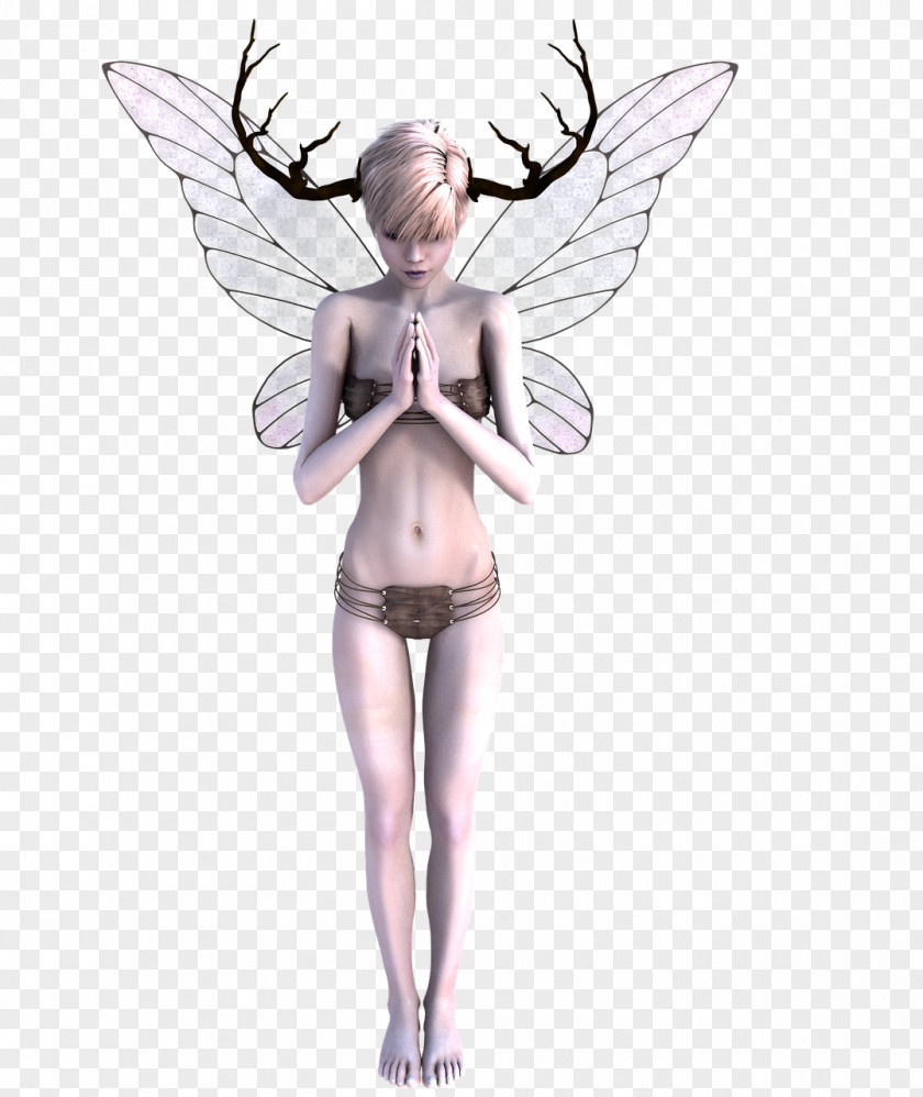 Deer Antler Moose Horn Fairy PNG