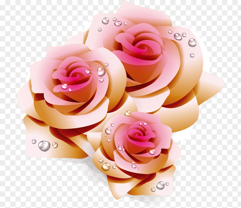 Dream Pink Rose Pattern Wedding Invitation Illustration PNG