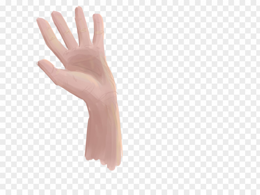 Hand Thumb Model Glove Safety PNG