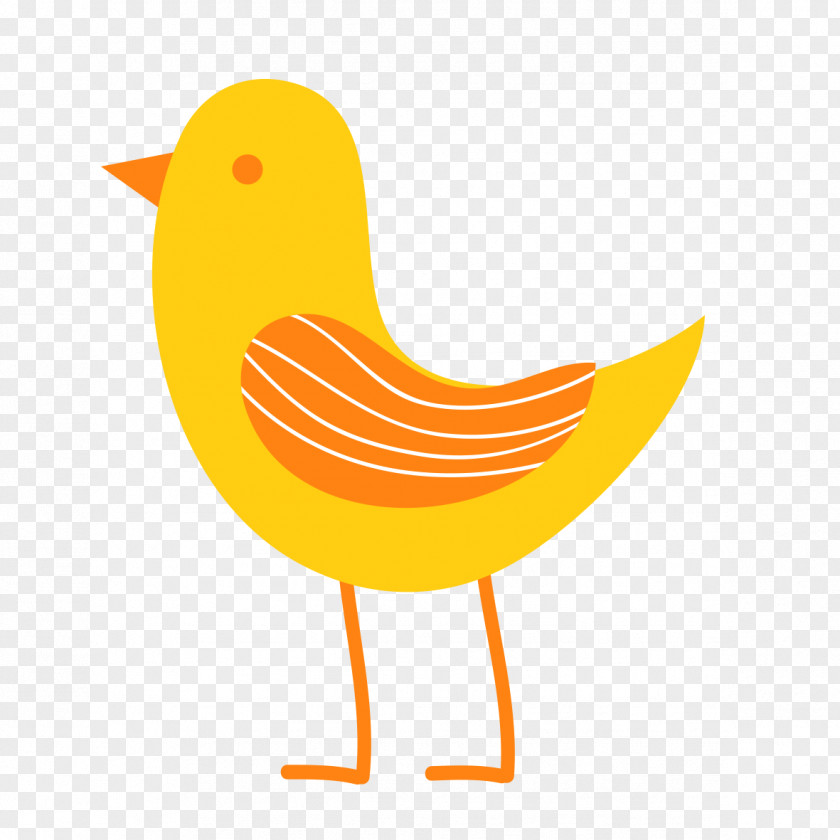 Yellow Chick Yellow-hair Chicken Clip Art PNG