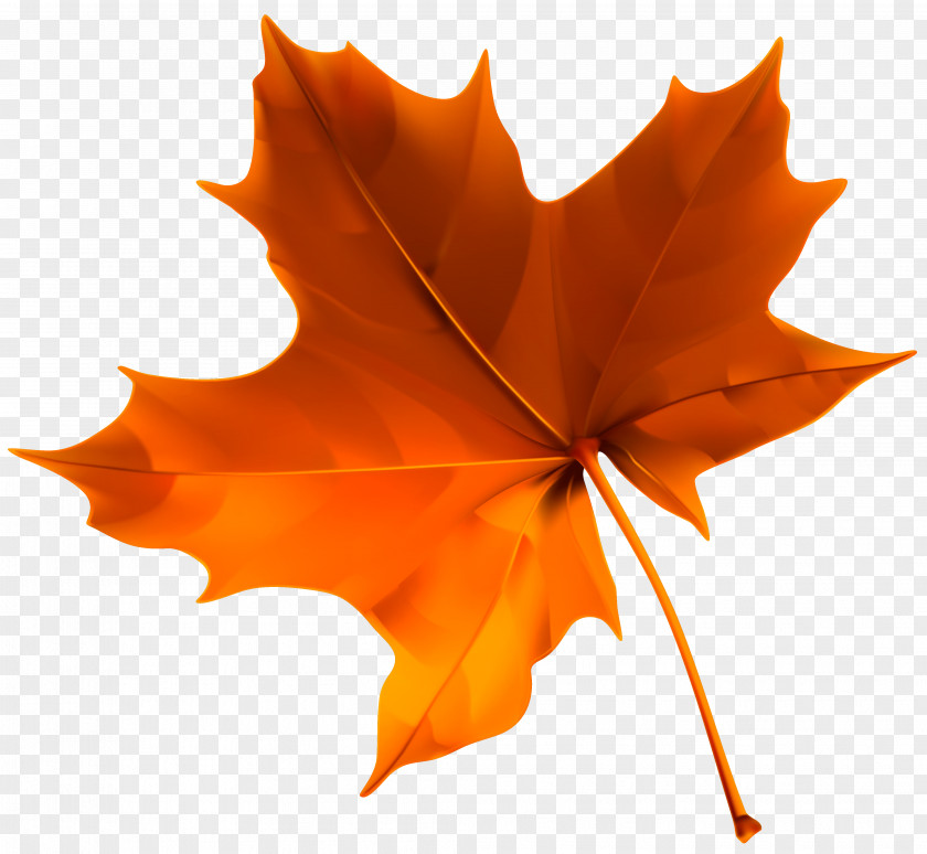 Autumn Red Leaf Clipart Image Color Clip Art PNG
