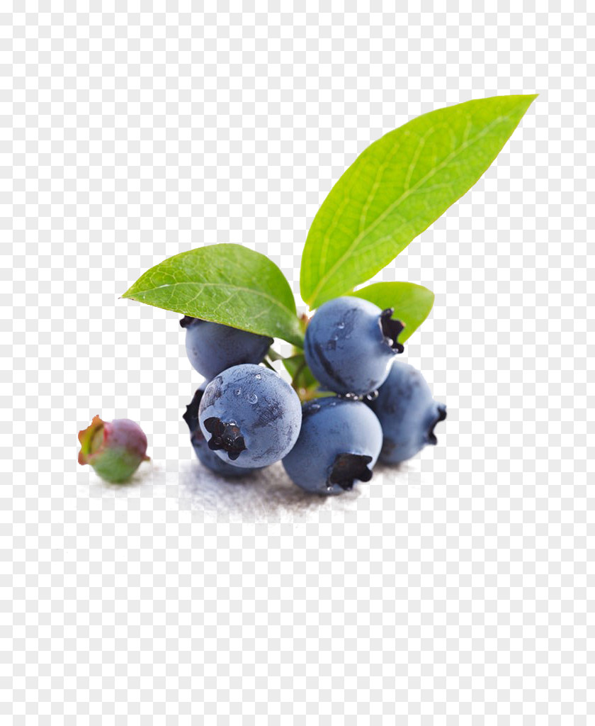 Blueberry Tea Bilberry Fruit PNG