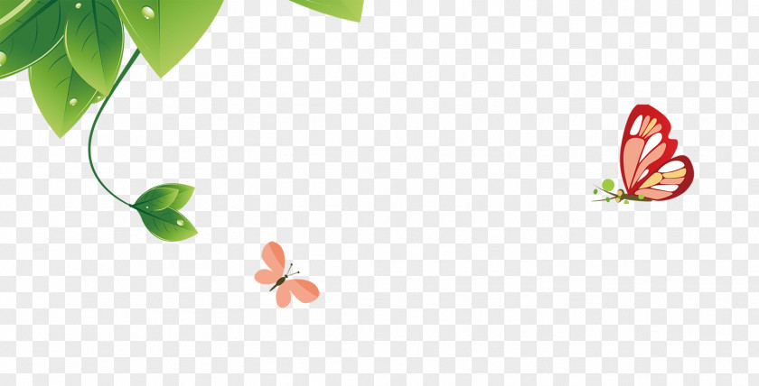 Cartoon Butterfly Illustration PNG