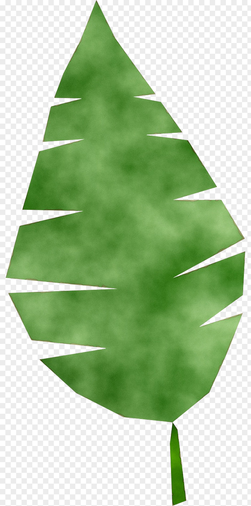Fir Christmas Tree Day Ornament Green PNG