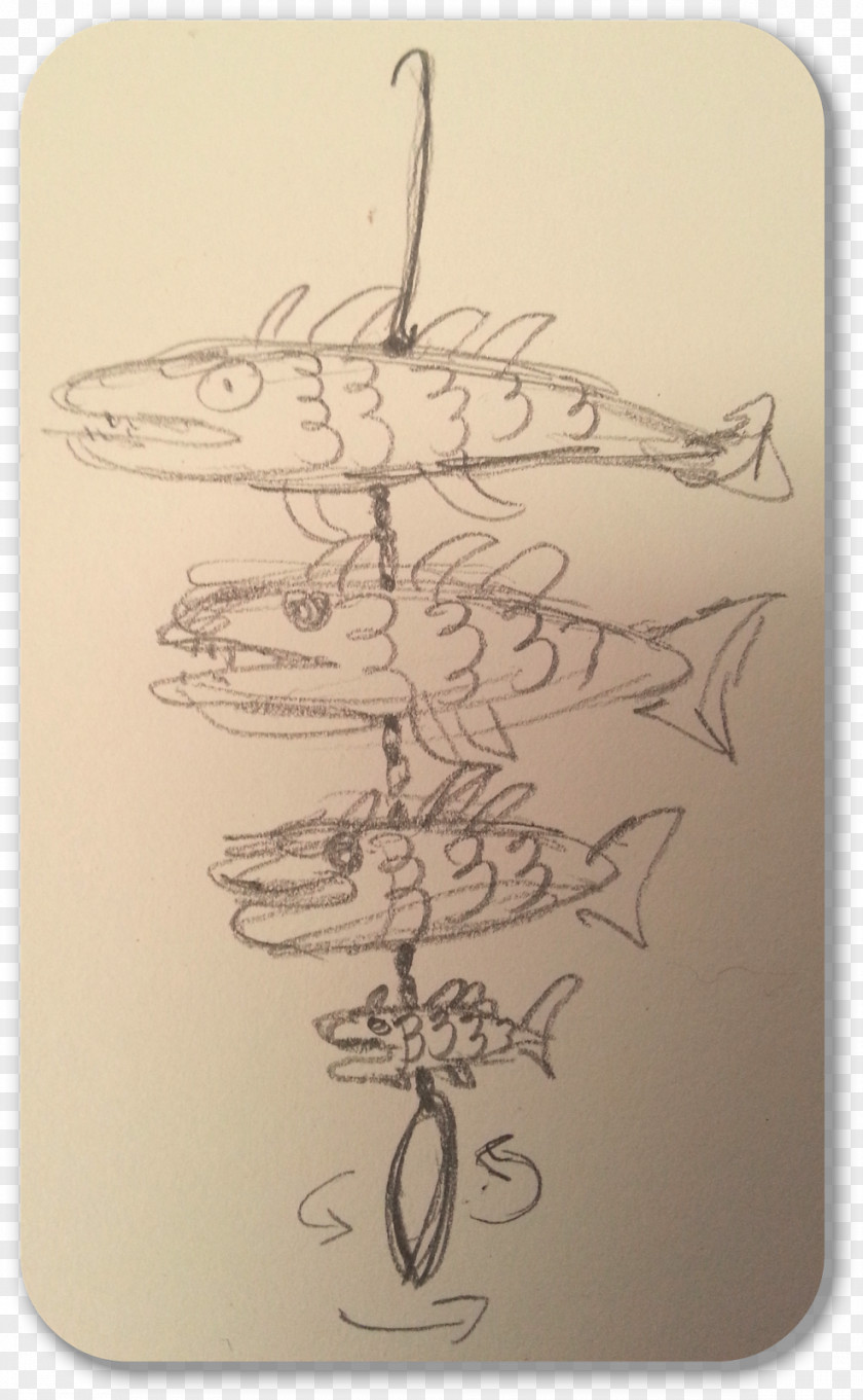 Fish Sketch Drawing /m/02csf Font PNG