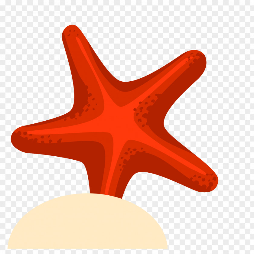 Hand-painted Starfish Vector Drawing Euclidean PNG