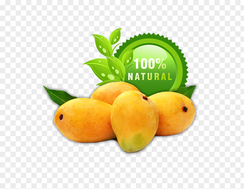 Mango Fruit Alphonso Food Essential Oil PNG