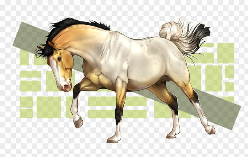 Mustang Foal Mane Stallion Mare PNG