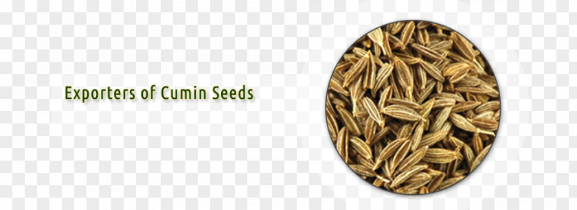 Sesame Seed Cumin Export Ingredient PNG
