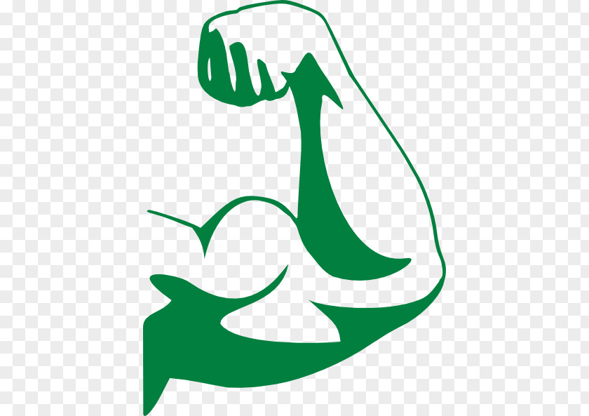 Arm Biceps Muscle Clip Art PNG