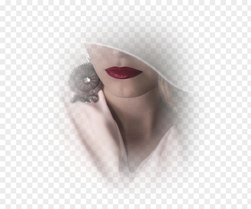 Close-up Lip PNG