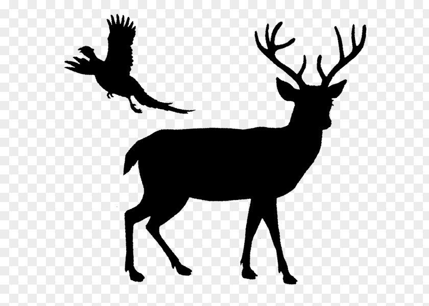 Deer White-tailed Reindeer Elk PNG