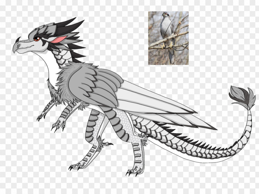 Dragon Drawing DeviantArt Wings Of Fire PNG