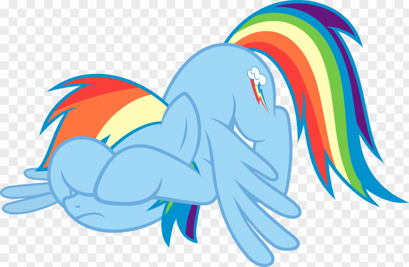 Embarrassing My Little Pony Rainbow Dash DeviantArt PNG