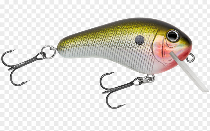 Fishing Plug Baits & Lures Spoon Lure PNG