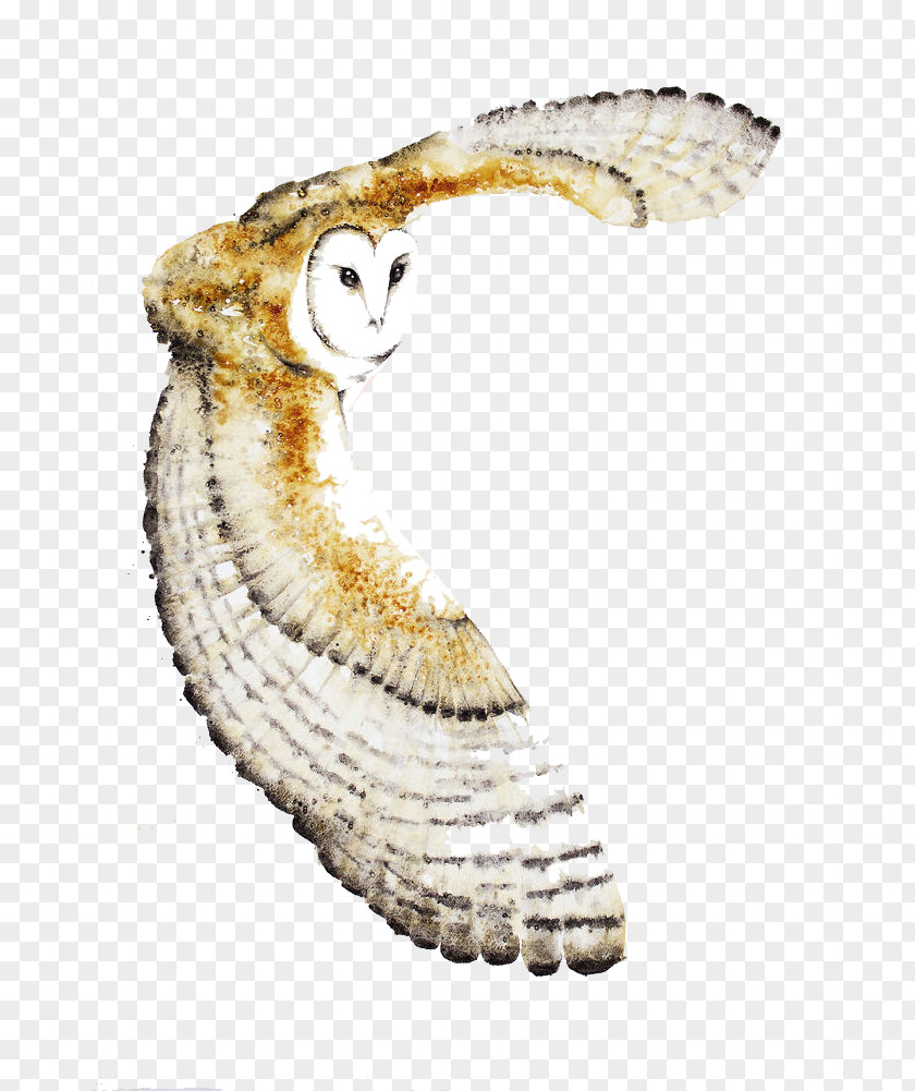 Flying Owl Tawny Hummingbird Flight PNG