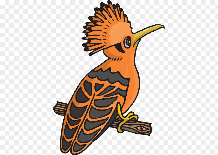 Hoopoe African Bird Clip Art PNG