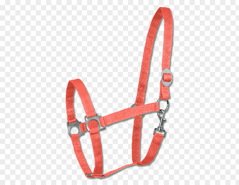 Horse Halter Rope Equestrian Sport PNG