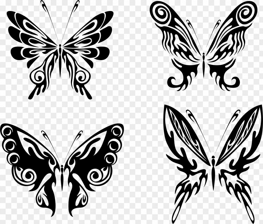 Butterfly Stamp Drawing Line Art Clip PNG