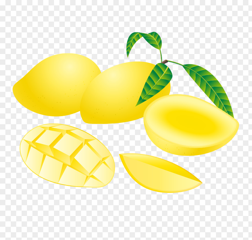 Cartoon Mango Fruit Clip Art Vector Graphics Mangifera Indica PNG