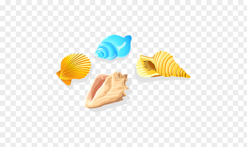 Conch Vector Seashell Sea Snail PNG