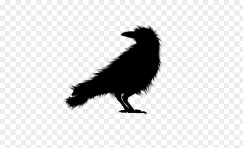 Falling Feathers Crow Art With Animals! Drawing Painting PNG