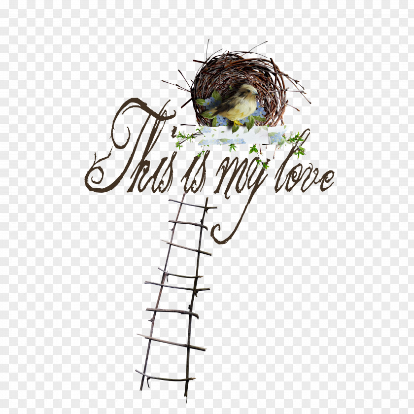 Ladders Nest Download Clip Art PNG