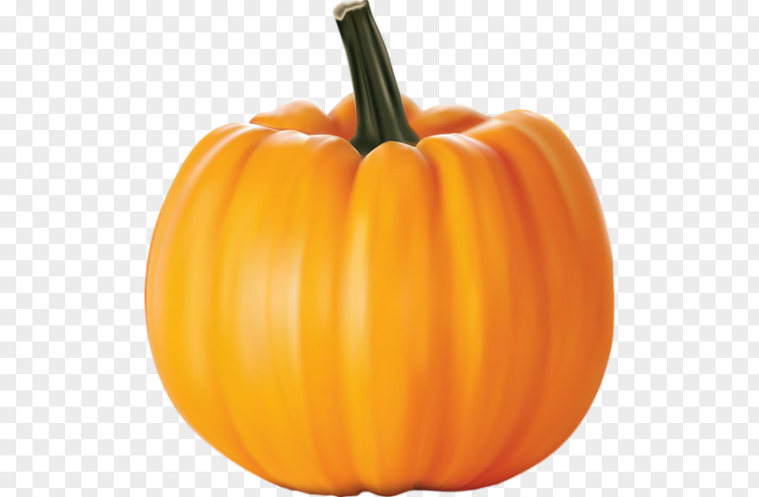 Legume Cucurbita Pepo New Hampshire Pumpkin Festival Clip Art PNG