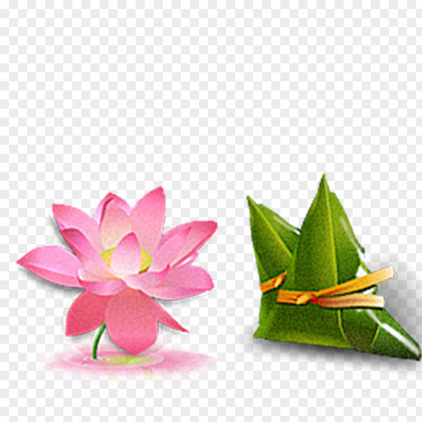 Lotus China Icon Design PNG