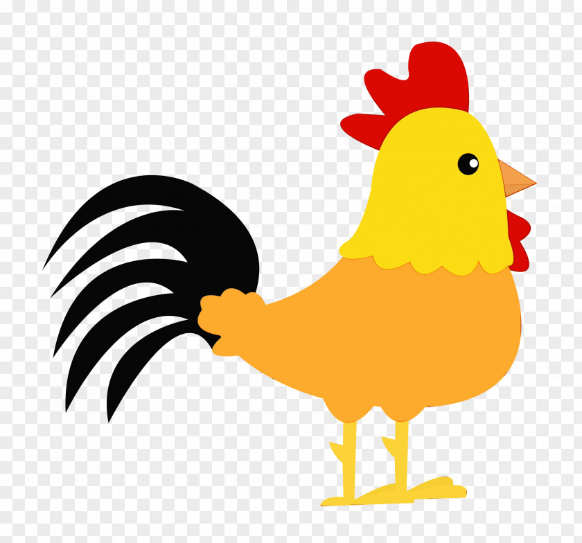 Rooster Chicken Illustration Clip Art Cartoon PNG