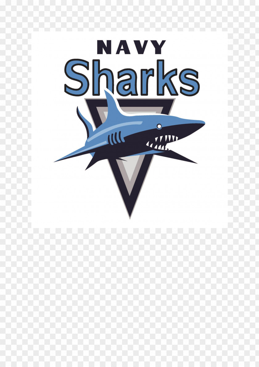 Sharks Logo Rugby Union Brand Sponsor PNG