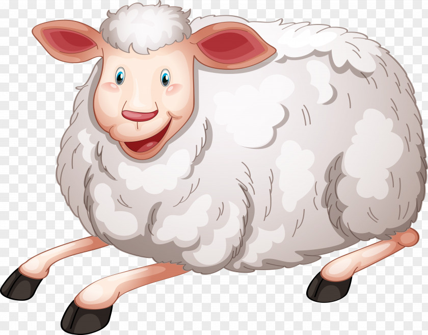 Sheep Cartoon PNG