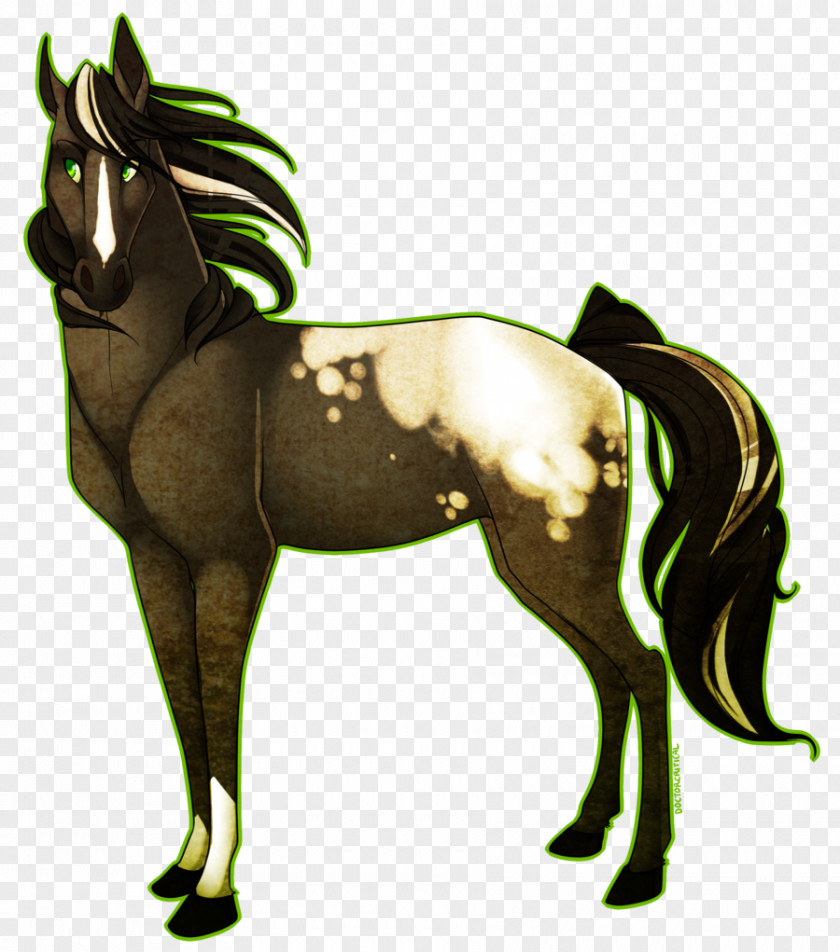 Warthogs Foal Mane Mare Mustang Stallion PNG