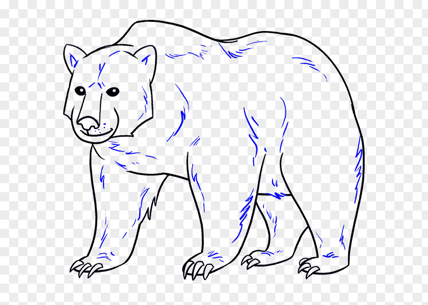 Bear Polar Giant Panda Grizzly Drawing PNG