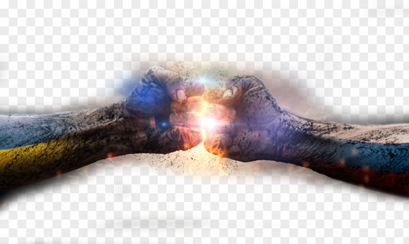 Black Fire Fist United States World Existence Business Knowledge PNG