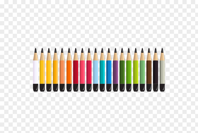 Colorful Crayons Crayon Drawing PNG