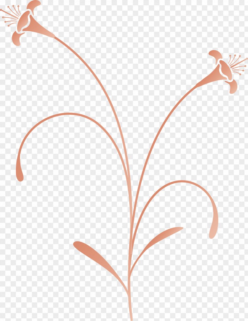 Easter Flower Spring PNG