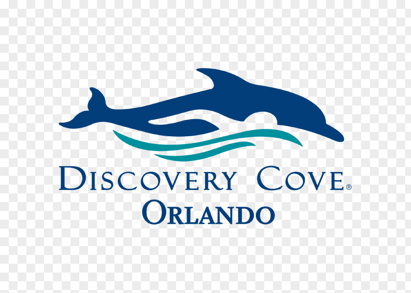 Park Discovery Cove SeaWorld Orlando Universal Studios Florida Busch Gardens Tampa Aquatica PNG