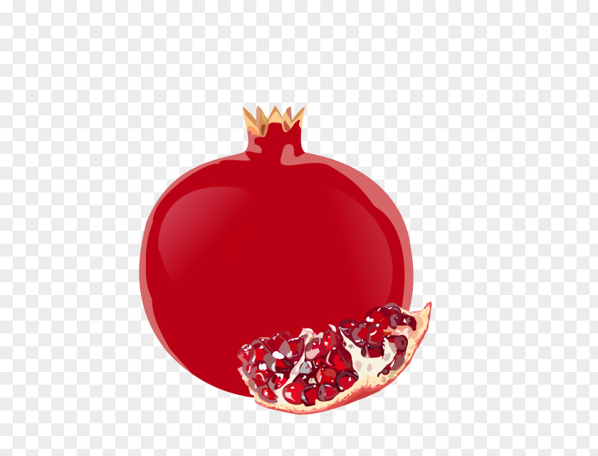 Pomegranate Download Drawing Fruit PNG