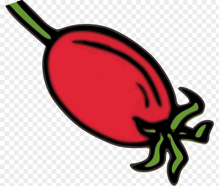 Rose Hip Dog-rose Clip Art PNG
