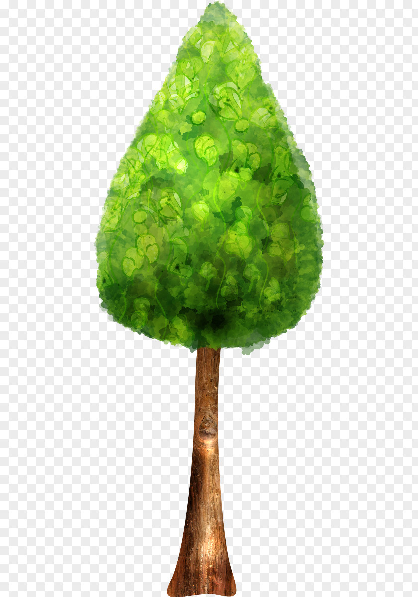 Tree Texture Mapping Clip Art PNG