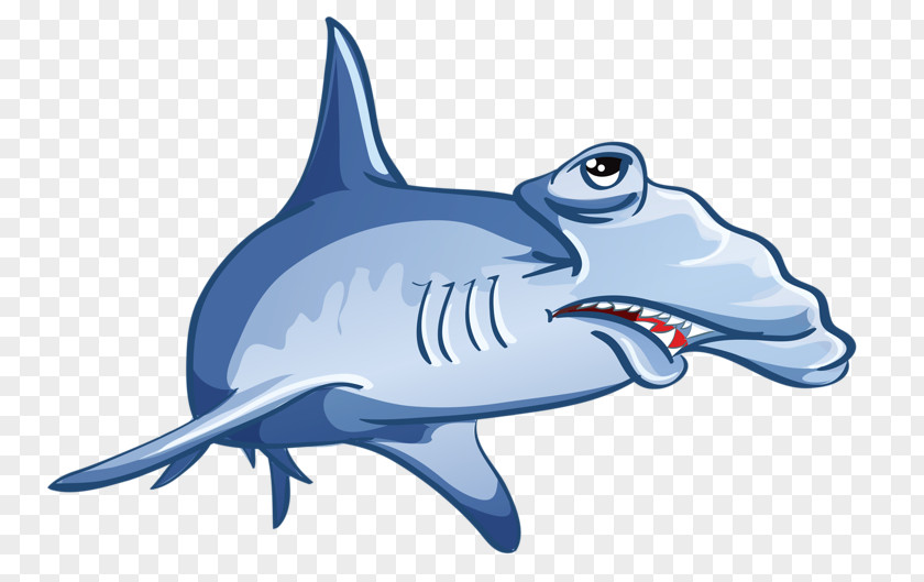Cartoon Shark Jaws Drawing PNG
